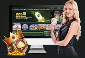 23bet4